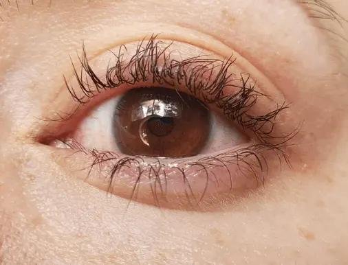 Lash Lift Gone Wrong: Shocking Facts And How To Avoid Or Fix It